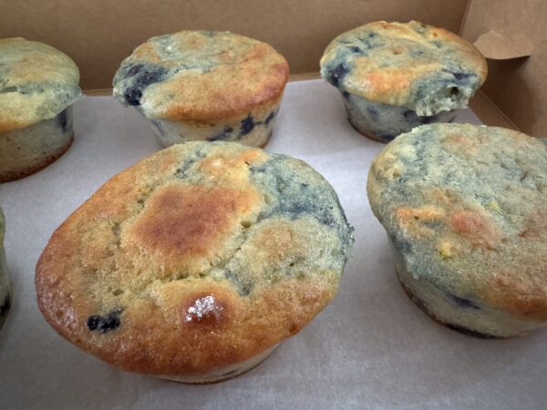 Blueberry Lemon Protein Muffin - RiseByK