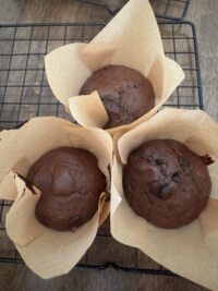 Chocolate Chip Protein Muffin - RiseByK