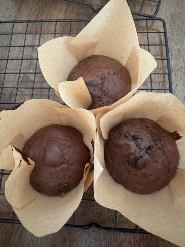 Chocolate Chip Protein Muffin - RiseByK