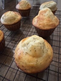 Lemon Poppyseed Protein Muffin - RiseByK