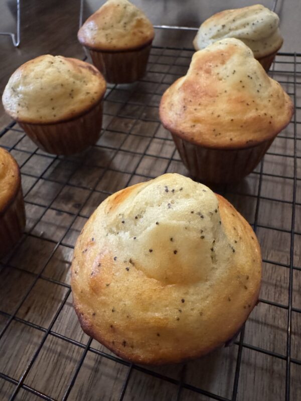 lemon-poppyseed-protein-muffin-risebyk Lemon Poppyseed Protein Muffin - RiseByK