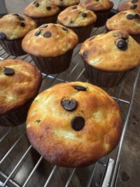 zucchinni-chocolate-chip-protein-muffin-risebyk Zucchini Chocolate Chip Protein Muffin - RiseByK